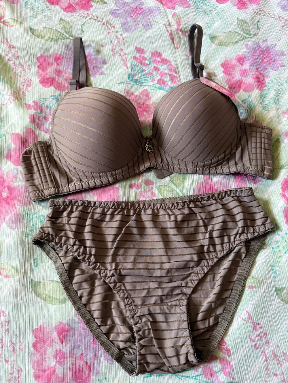 Women’s Brown Striped Bikini Set - Padded Bra & Briefs